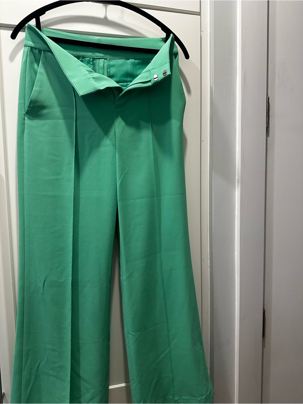 Alice + Olivia Wide-Leg Pants in Mint
